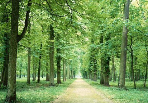 仟億達碳交易，讓林農愛(ài)上植樹(shù)“賣(mài)空氣”